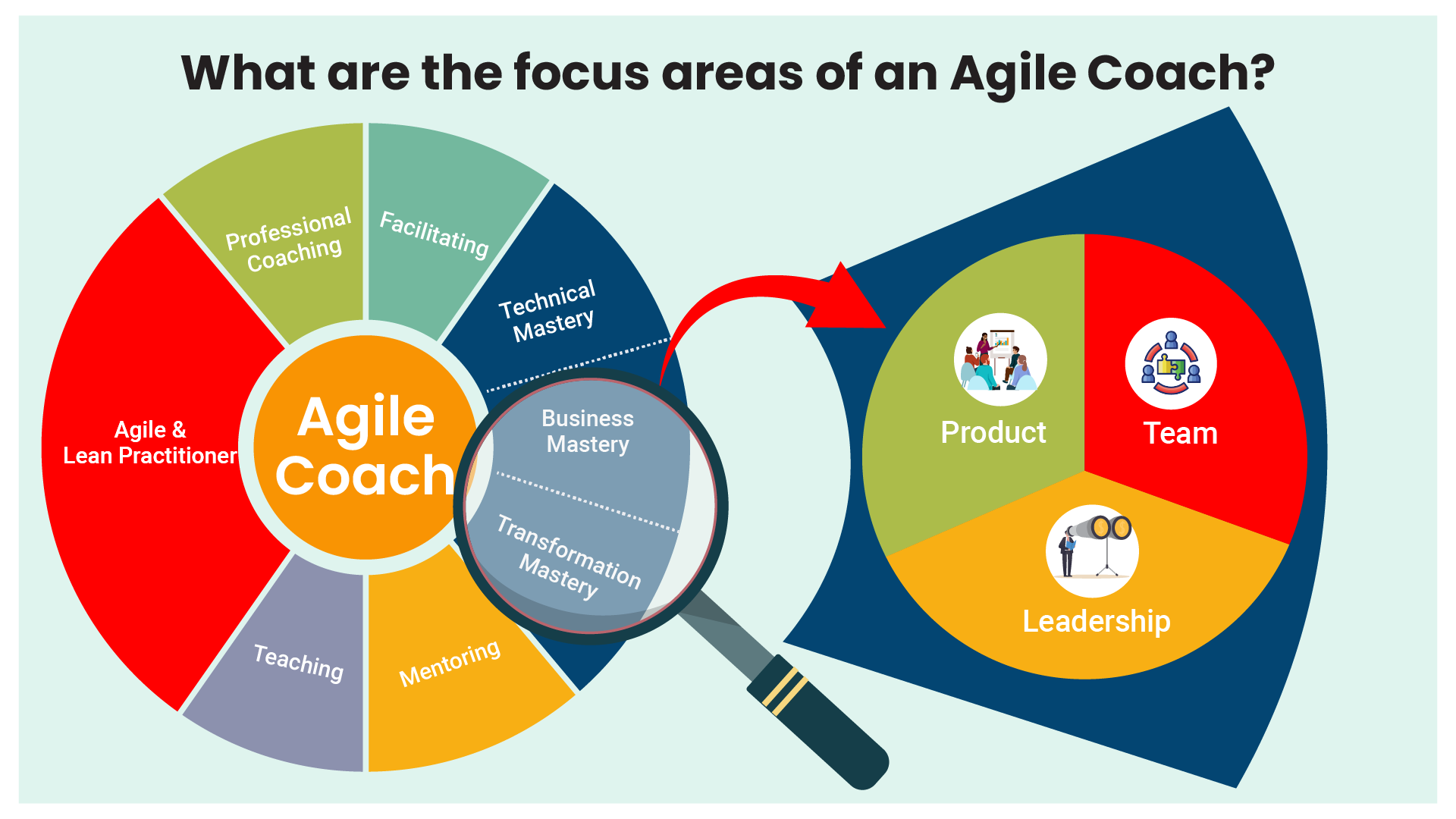 Agile Coaching