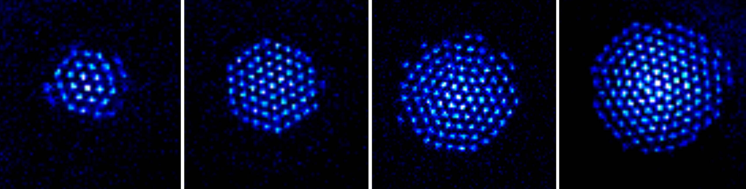 Quantum Simulators