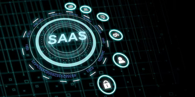 Software as a Service (SaaS)